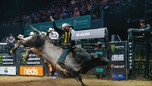 Aaron Kleier Sweeps Opening Rounds of the 2021 PBR Australia Grand Finals to Inch Closer to Historic Fourth Consecutive National Title