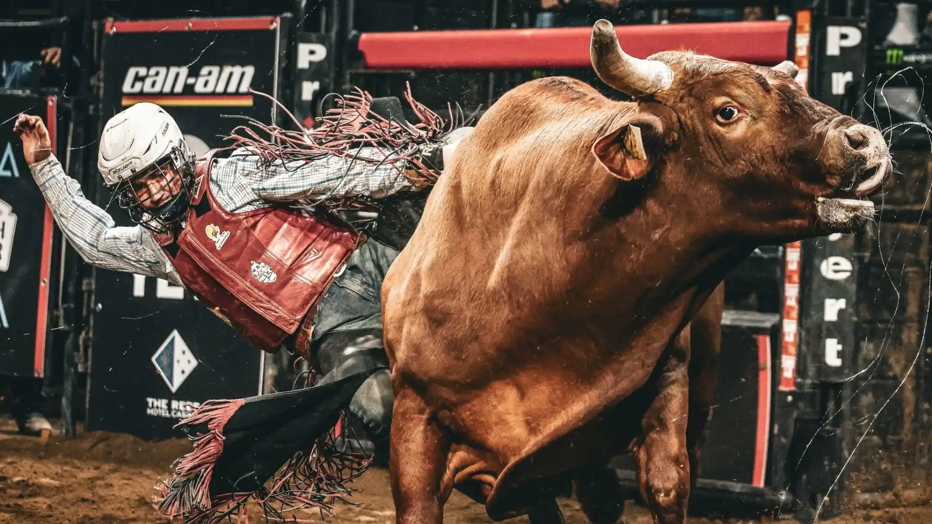PBR Cairns Invitational: Matchups to Watch