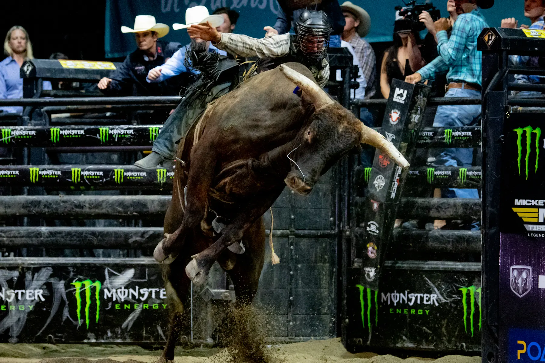 Razor Sharp Readies for Intense Year-End Battle in Australian Bull of the Year Race