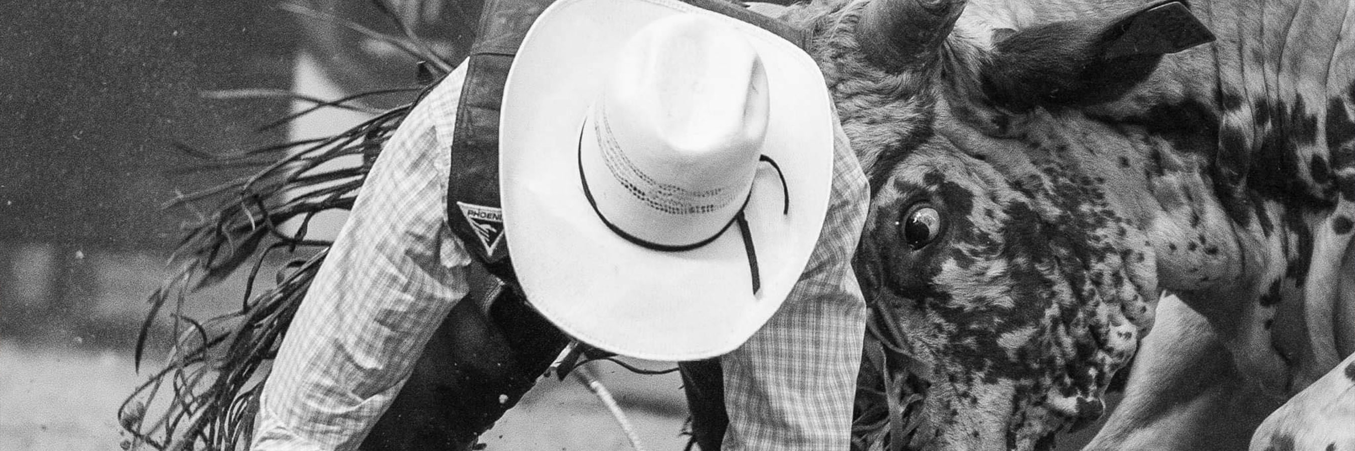 Touring Pro Division: PBR Kilkivan