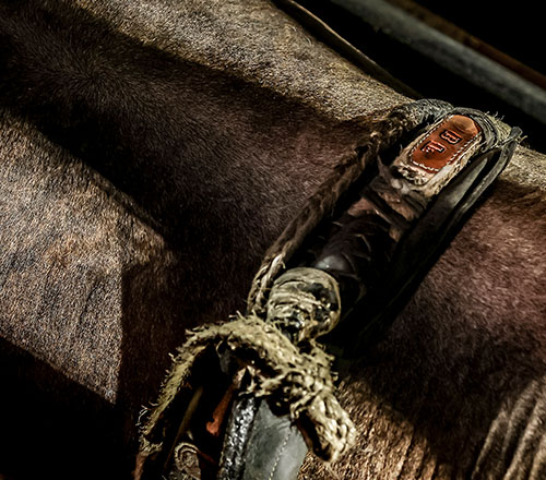 ABBI ANIMAL REGISTRATION FORM